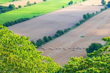 Poster - View of fields with bales in the country