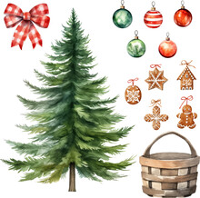 Christmas Tree And Decorations Ornament Vector Iluustration