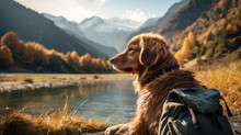Golden Retriever Traveling. Lake River And Mountain Background. 