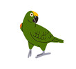 Amazon parrot. Cute funny Amazona bird. Exotic tropical jungle green-feathered birdie going, walking with folded wings. Flat vector illustration isolated on white background