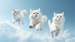 Advertisement studio banner with fluffy kittens flying in the air on pale blue background. Generative AI technology