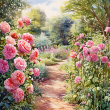 A Walkway Through A Traditional English Rose Garden. Pathway Leading To A Trees With Pink Rose Bushes Either Side. Digital Illustration.