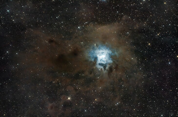 Wall Mural - Iris nebula
