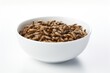 Insects black soldier fly larvae in white bowl for make alternative milk on white background. Generative AI.