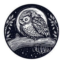 Cute Owl Sleeping On A Tree And A Moon On The Background Illustration Emblem