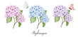 Set of beautiful watercolor hydrangea bouquets and butterflies