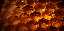 Close Up Image Of Honeycomb, In The Style Of Naturecore, Synthetism, Soft-focus Technique Created With Generative AI Technology
