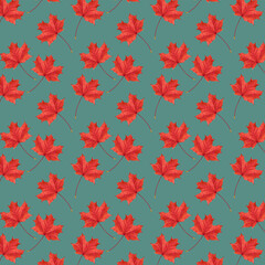 Canvas Print -  Autumn pattern. Autumn red maple leaves. Pattern of autumn red maple leaves on a green background.  Autumn pattern.