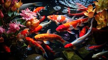 Koi Fish Pond And Full Of Colorfull Generative Ai