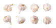 Garlic isolated. png file