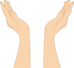 Hand drawn cupped hands isolated on white background. Raised hands. Vector illustration