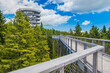 Forest canopy walkway footpath above treetops, outdoor adventure on Rogla, Slovenia