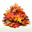 © InputUX - Autumn leaves pile. Maple foliage colors - red, orange, yellow. Fall season.
