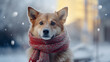 Dog on a winter background in a scarf and hat