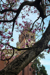 Wall Mural - Torre della Basilica di Sant' Andrea di Vercelli, Piemonte