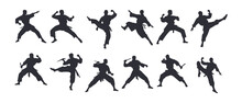 Martial Art Silhouette Black Filled Vector Illustration