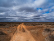 A long dirt road leading to a desert horizon with dark clouds above in northeastern New Mexico
