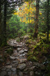 © Andrew Kornylak - Camel's Hump Trail, Green Mountain National Forest, Vermont