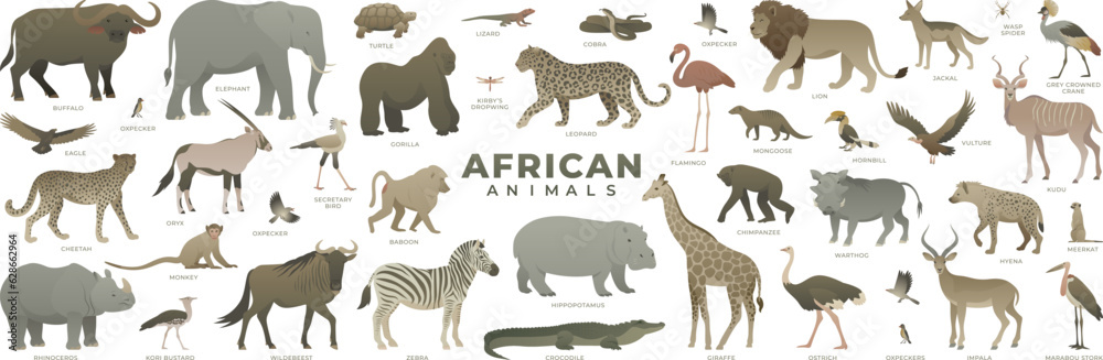 African savannah animals set. Modern vector illustration of safari ...