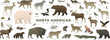 North American animals set. Including bison, polar bear, grizzly, jaguar, alligator, moose, raccoon. Vector illustration of wildlife. Wild animal collection isolated on white background.