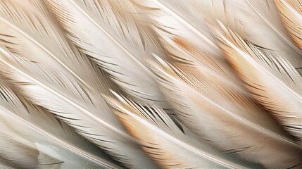 Leinwandbilder - Generative AI : Beautiful texture of a birds feather in pearl and silvery macro colors