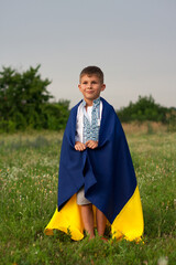 happy Ukrainian boy in embroidered shirt - vyshyvanka with blue-yellow flag of Ukraine, in meadow on summer day. Independence Day of Ukraine. Constitution day. Day of Ukrainian statehood.