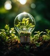Eco friendly lightbulb with plants green Renewable and sustainable energy