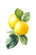 lemon sticker water color. ai generate
