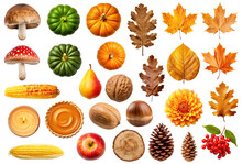 Collection Of Various Autumn Objects - Leaves, Mushrooms, Nuts, Fruits Etc, Isolated On Transparent Background