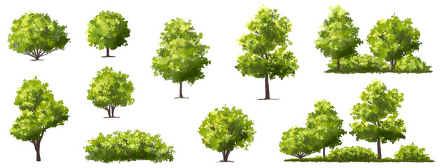 Wall Mural - vector watercolor green tree or forest side view isolated on white background for landscape and arch