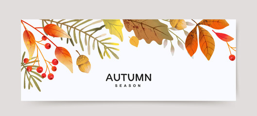 Wall Mural - Autumn season background with red and orange watercolor leaves, branches and berries. Creative Fall border. Vector illustration