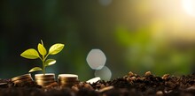 Seedling Growing On A Pile Of Coins Has A Natural Backdrop, Blurry Green, Money-saving Ideas, And Economic Growth Created  With Generative AI Technology