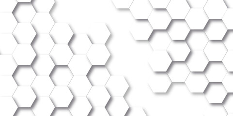 abstract 3d background. background with hexagons. white texture background . hexagon abstract backgr