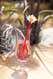 Fototapeta Sypialnia - pink coctail with straw. refreshing drink glass with ice on sunlight and grass background. Ice cubes