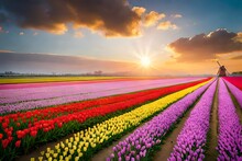Tulip Field At Sunset Generated Ai