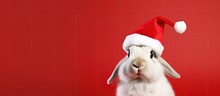 Rabbit With Santa Claus Hat, Red Background, Space For Text, Christmas Holiday. Generative AI