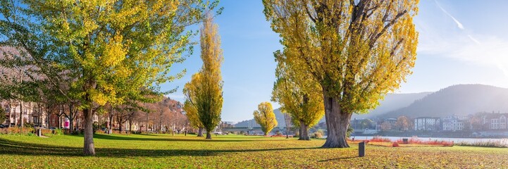 Wall Mural - heidelberg neckarwiese meadow panorama in autumn season, baden-württemberg, germany
