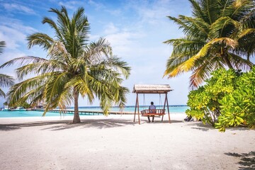 Wall Mural - Man sitting on a wooden swing on a tropical beach in Maldives