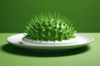 Lime green spiky ball on a white plate