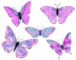 Watercolor viola butterflies. Hand drawn illustration, isolated on white background.
