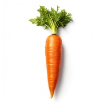 A Carrot With Green Leaves