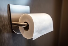 A Roll Of Toilet Paper On A Holder