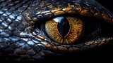 a close up of a snake's eye