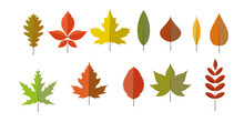 Colorful Autumn Leaves, Isolated. Simple Cartoon Flat Style