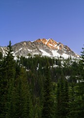 Sticker - the mountains and trees are covered in snow in the evening