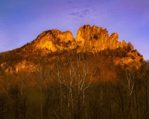 Canvas Print - a mountain with the sun setting behind trees and bushes in front of it