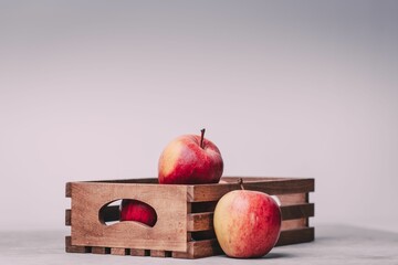 Wall Mural - Red apples in a small crate with copy space against a grey pplain background