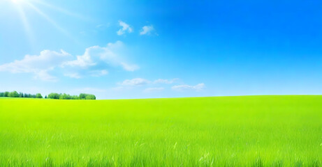 Wall Mural - Beautiful natural landscape of a green field with grass against a blue sky with sun. Spring summer blurred background