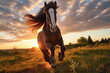Pferd im Galopp bei Sonnenuntergang, 3, Ai generiert