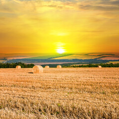 A field with haystacks on an autumn evening .